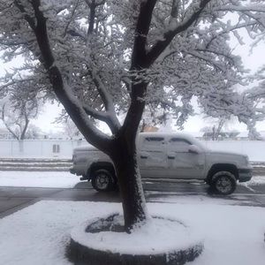 Meet your Posher, Tanya